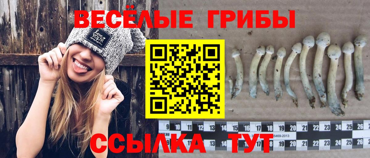 Галлюциногенные грибы Cubensis Луга
