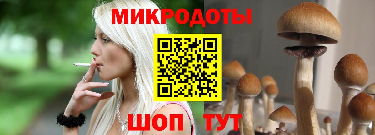 Псилоцибиновые грибы мухоморы  Вход с VPN  Луга 